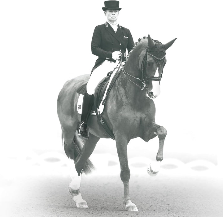 Veredus Absolute Dressage Velcro Rear Brushing Boot Schwarz M, Schwarz M