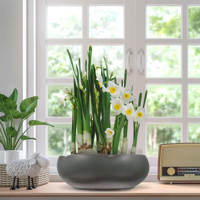 Cabilock Blumentopf Aus Poröser Keramik Runde Blumenschale Sukkulenten T?pfchen Kakteen Topf Schreib