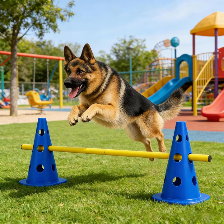 Agility Set für Hunde – Cavaletti Steckhürden Set für kleine Hunde & Kinder, verstellbare Trainingsh