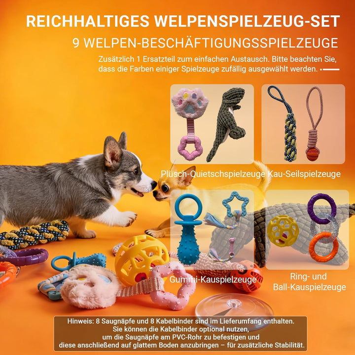 Welpenspielstudio, mit 9 interaktiven Hundespielzeugen, Welpenanreicherungsspielzeug, um sie zu besc