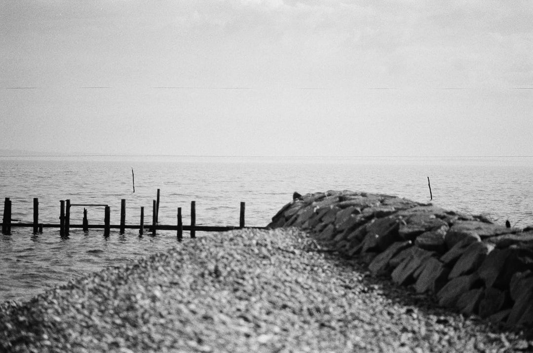 NP100 Schwarz/Weiss Kleinbildfilm (100/21 ISO) - 30,5 Meter B+W 35mm Film 30,5 Meter, B+W 35mm Film