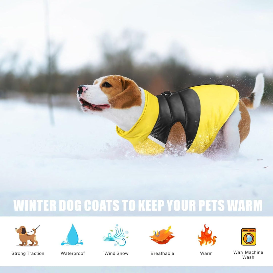 Idepet Haustier Hund Warm Mantel Jacke wasserdichte Kleidung Kleine mittlere grosse Haustier Hund Ka