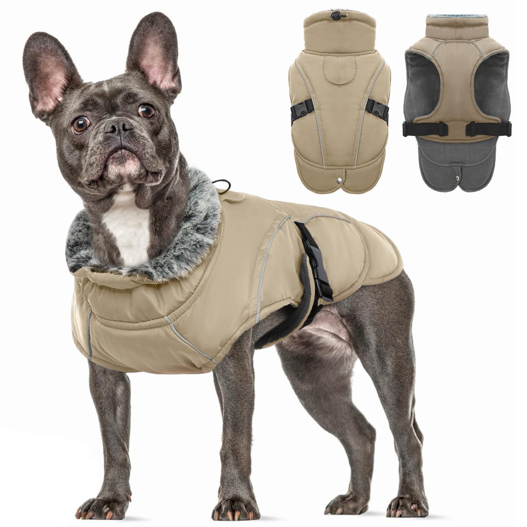 Hundejacke Kleine Hunde, Hundejacke Wasserdichter Winter Warm Hund Kleidung Hundemantel Gepolstert P