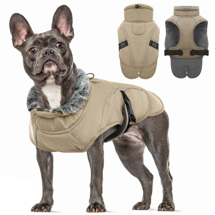 Hundejacke Kleine Hunde, Hundejacke Wasserdichter Winter Warm Hund Kleidung Hundemantel Gepolstert P