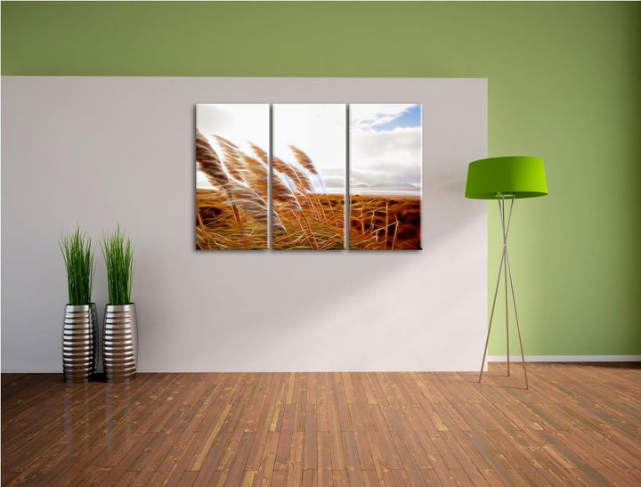 Schönes Schilf in den Dünen Spezial 3-Teiler Leinwandbild 120x80 Bild auf Leinwand, XXL riesige Bild
