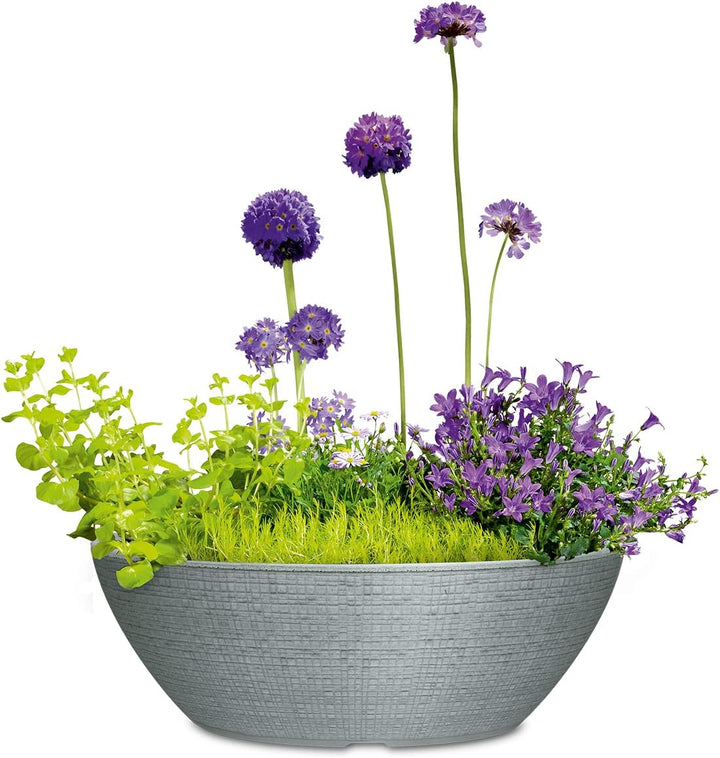 Scheurich Barceo Bowl 40, Pflanzschale/Blumentopf/Pflanzenschale, rund, Farbe: Stony Grey, hergestel