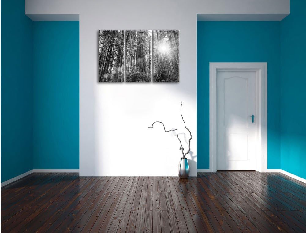Pixxprint Wald bei Sonnenlicht / 3-Teilig/Gesamtmass 120cm Leinwandbild bespannt auf Holzrahmen/Wand