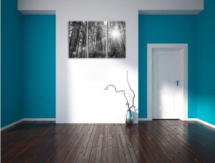 Pixxprint Wald bei Sonnenlicht / 3-Teilig/Gesamtmass 120cm Leinwandbild bespannt auf Holzrahmen/Wand