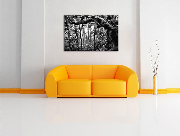 Pixxprint Regenwald Bäume See / 100x70cm Leinwandbild bespannt auf Holzrahmen/Wandbild Kunstdruck De