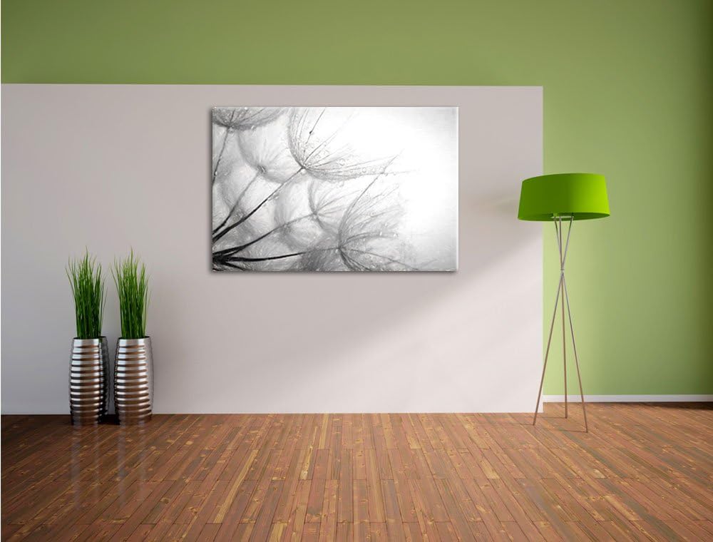 Pixxprint Tropfen bedeckte Pusteblumen als Leinwandbild/Grösse: 100x70 cm/Wandbild/Kunstdruck/fertig