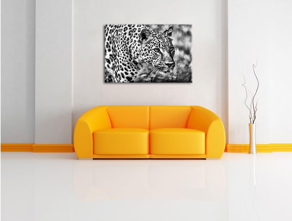 Pixxprint Monocrome, schleichender Leopard, Format: 100x70 auf Leinwand, riesige Bilder fertig gerah