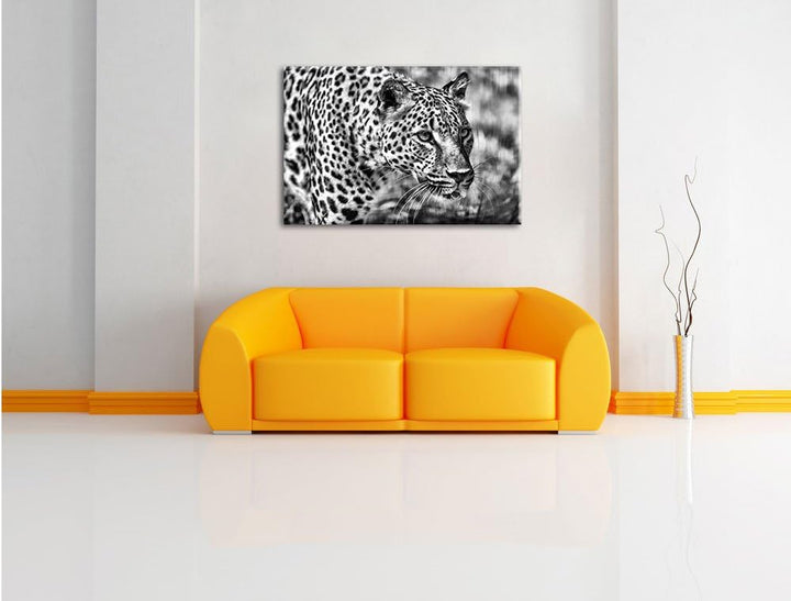 Pixxprint Monocrome, schleichender Leopard, Format: 100x70 auf Leinwand, riesige Bilder fertig gerah