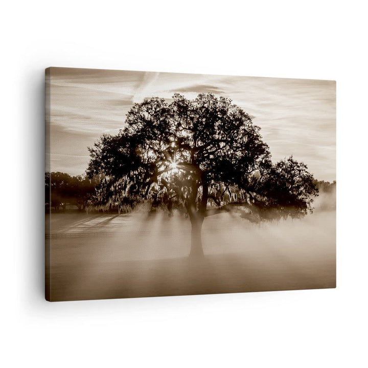 Bilder auf Leinwand Baum Feld Natur Leinwandbild mit Rahmen 70x50cm Wandbilder Dekoration Wohnzimmer