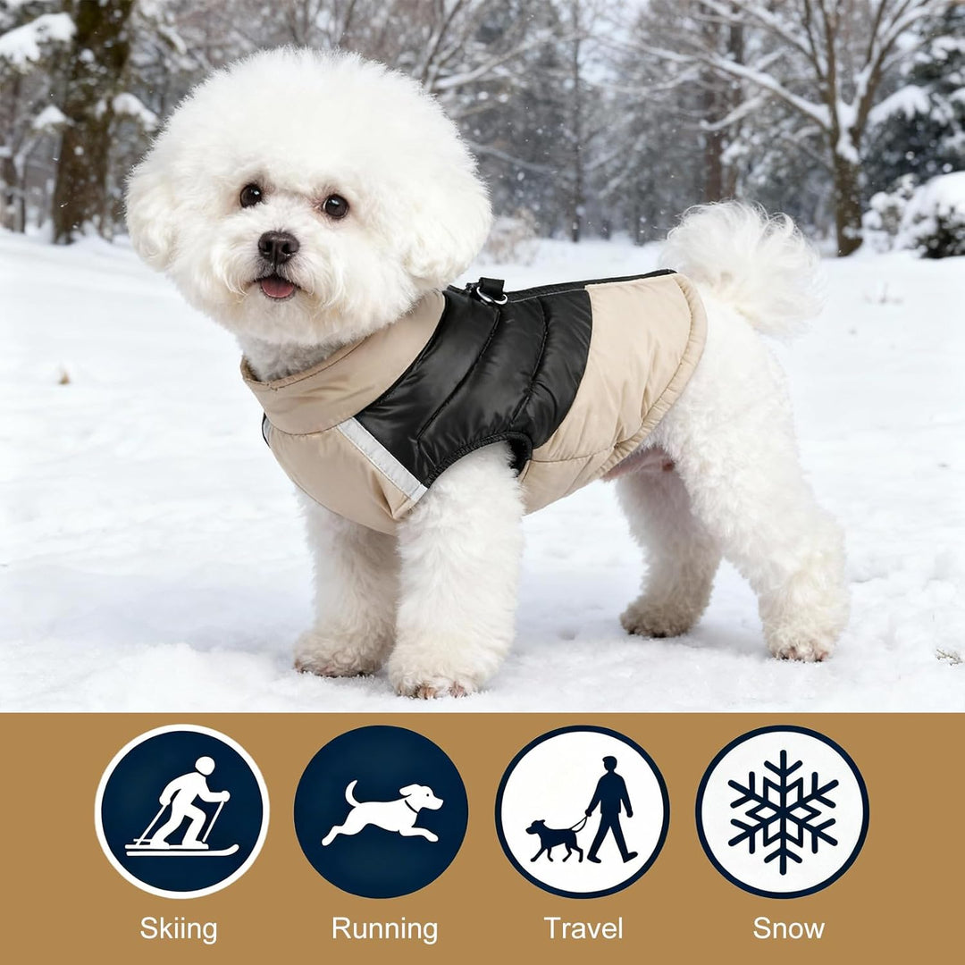 Hundejacke für Kleine Mittelgrosse Hunde, Winter Warmer Hundemantel mit Double-D-Ring, Welpen Hunde