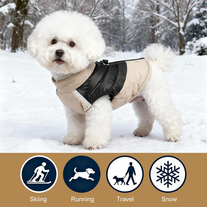 Hundejacke für Kleine Mittelgrosse Hunde, Winter Warmer Hundemantel mit Double-D-Ring, Welpen Hunde