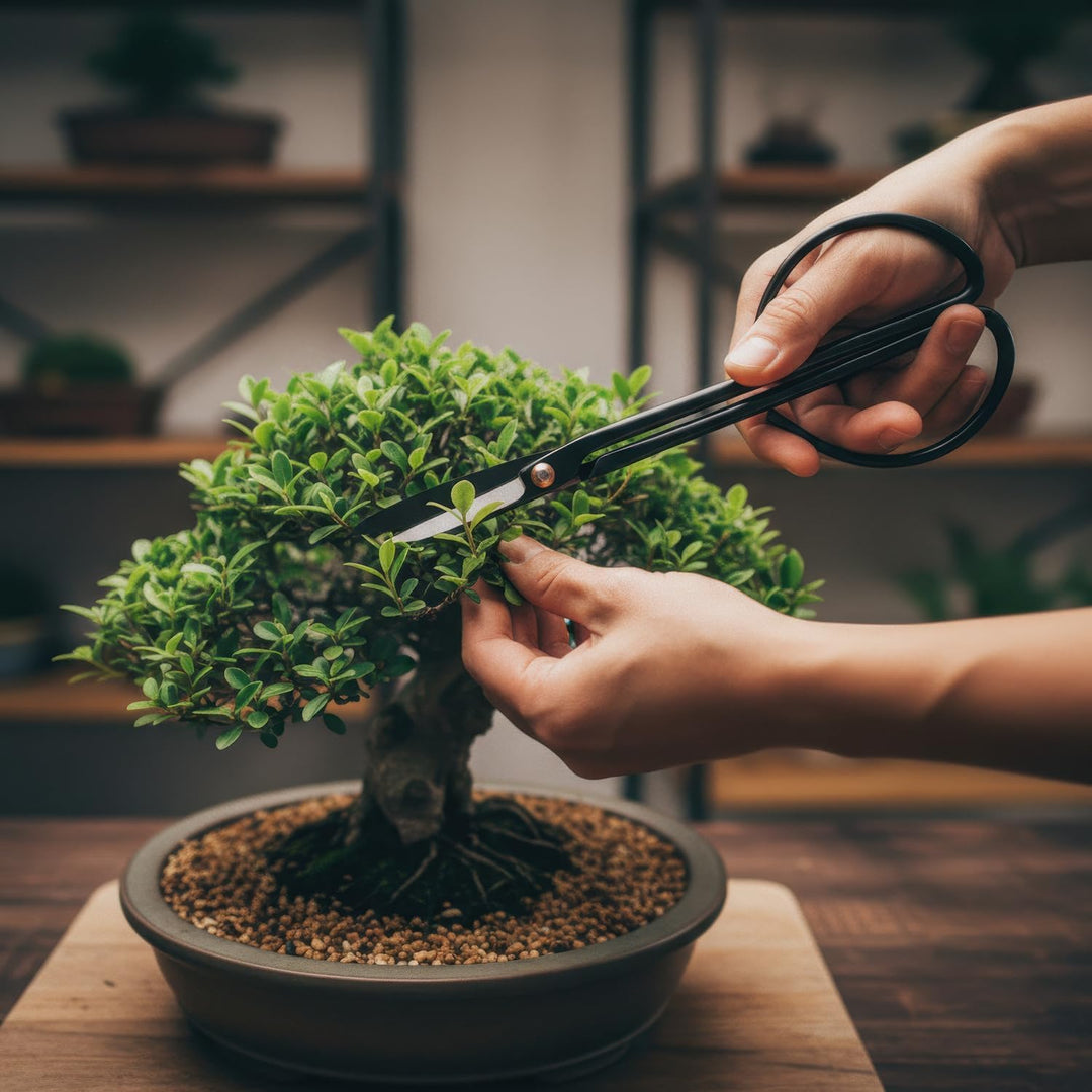 MOSFiATA Bonsai Werkzeug Set Pflegeset 7-teilig Mini Gartenwerkzeug für Bonsai Baum und Zimmerpflanz