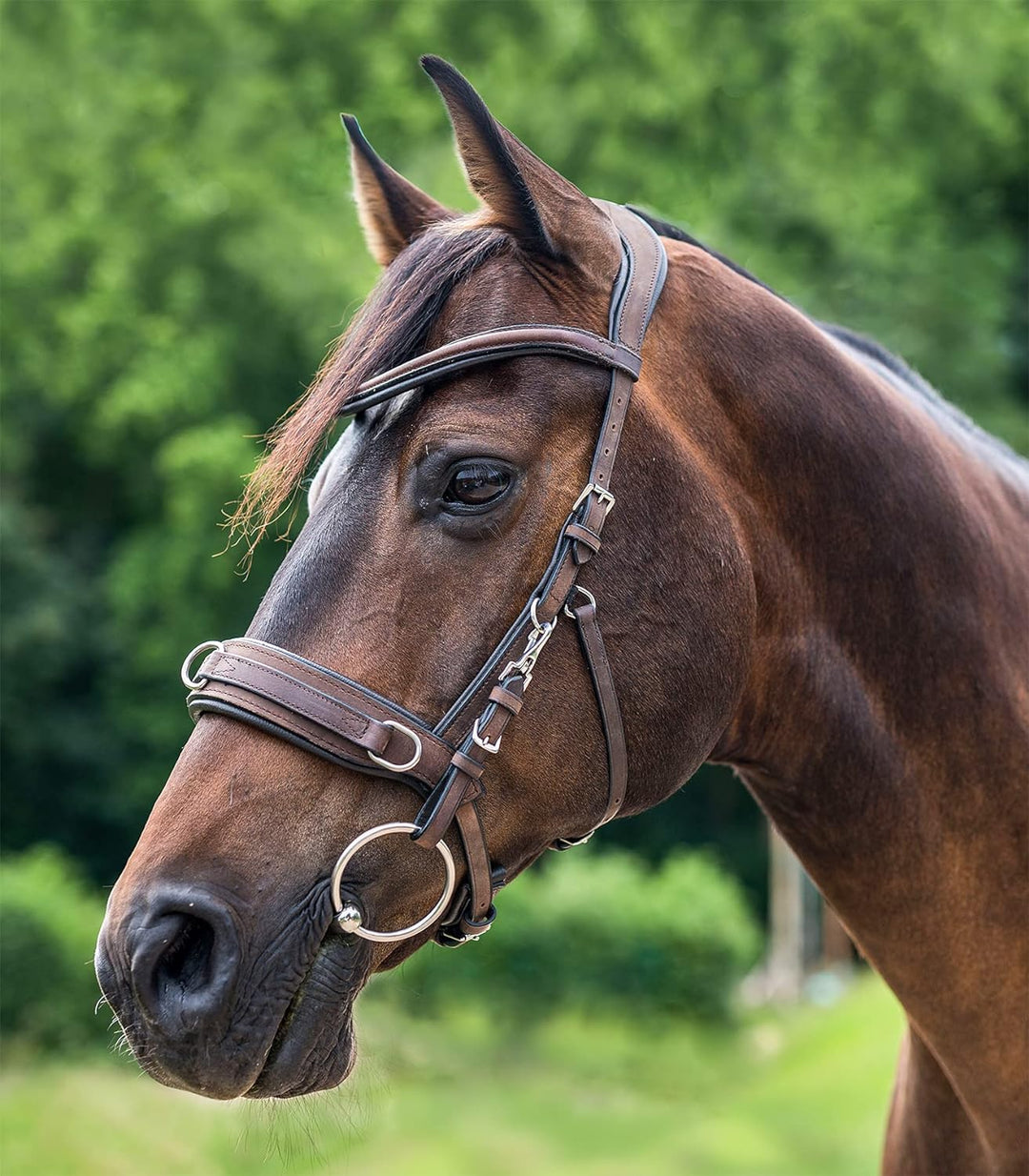 WALDHAUSEN Lederkappzaum Anatomic Braun Pony, Braun Pony