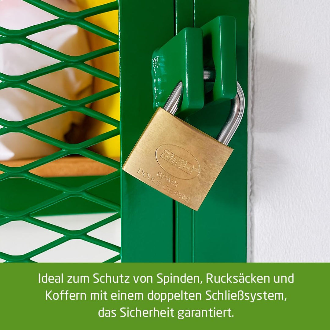 Amig - Schloss - Inklusive 2 Schlüsseln - Vielseitig und Widerstandsfähig - Bügel aus Behandeltem St