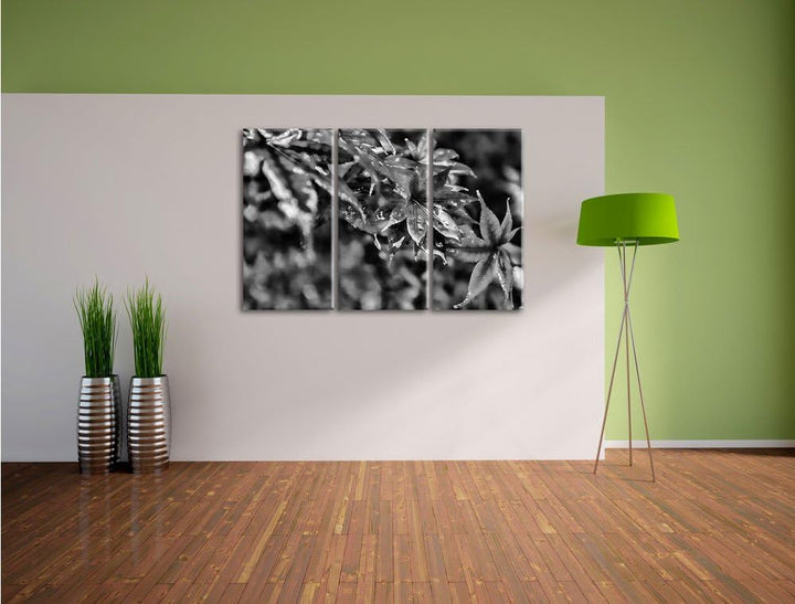 Pixxprint Ahorn im Sonnenlicht als Leinwandbild/Grösse: 3 Teilig (120x80) cm/Wandbild/Kunstdruck/fer