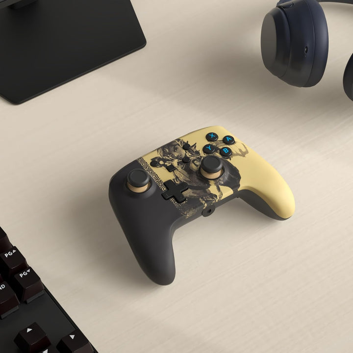 Verbesserter kabelgebundener PowerA Controller für Nintendo Switch – Ancient Archer, Ancient Archer
