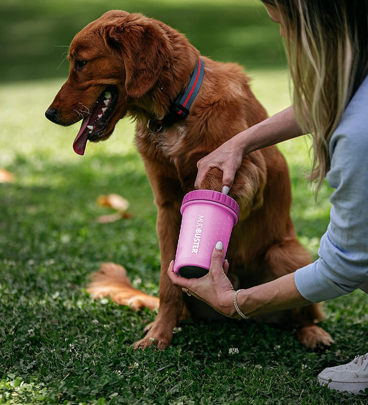 Dexas MudBuster Hundepfotenreiniger, tragbar, mittelgross, Fuchsia Fuchsia Medium, Fuchsia Medium