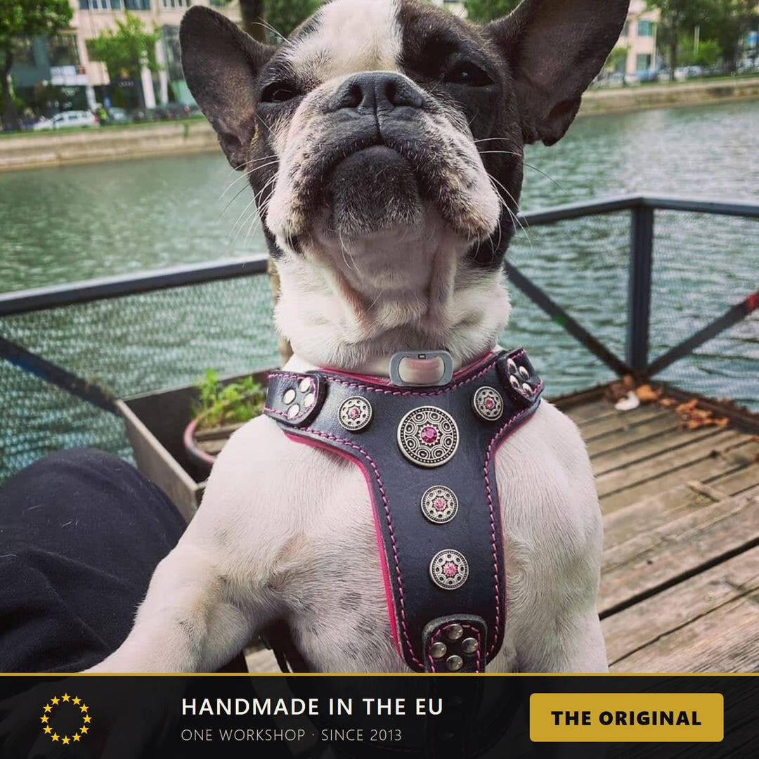 Bestia ''Bijou'' Leder Brustgeschirr für Kleine bis Mittelgrosse Hunde. 100% Leder. Handgefertigt. T