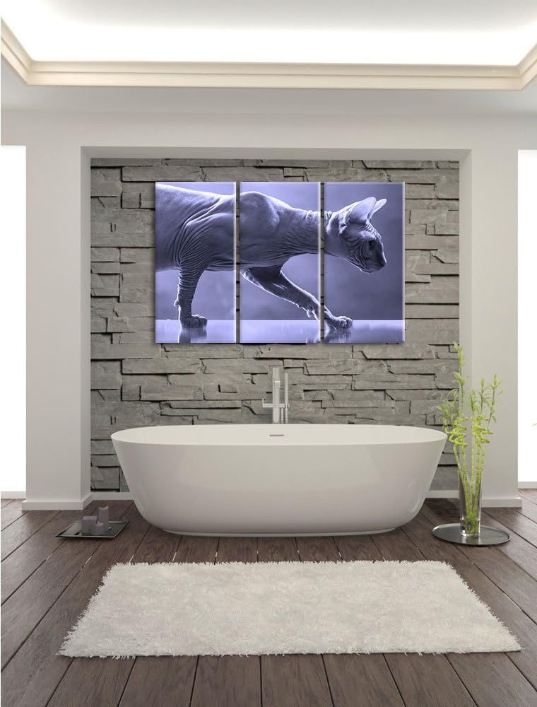 Pixxprint Einzigartige Sphynx Katze Schwarz/Weiss 3-Teiler Leinwandbild 120x80 Bild auf Leinwand