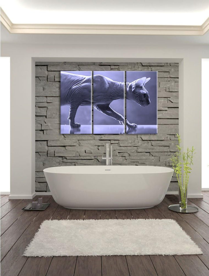 Pixxprint Einzigartige Sphynx Katze Schwarz/Weiss 3-Teiler Leinwandbild 120x80 Bild auf Leinwand