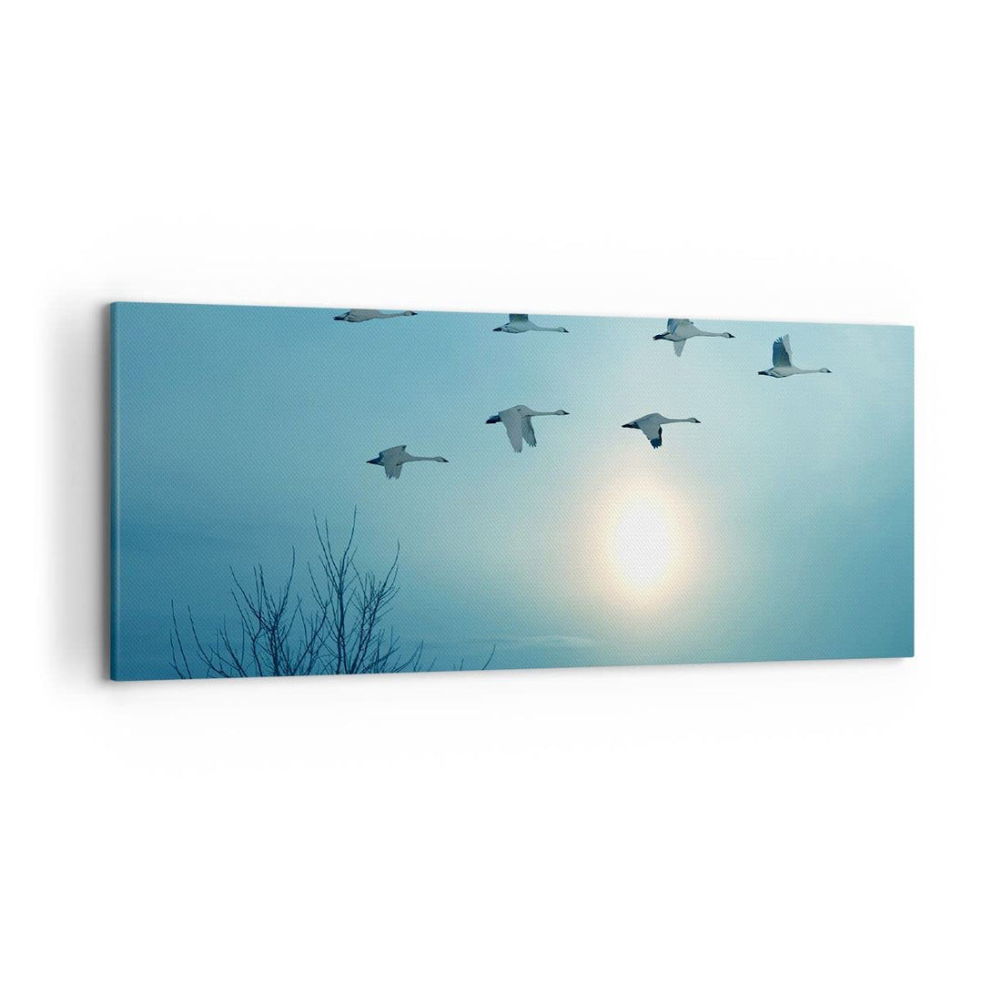 Wandbilder Dekoration Wohnzimmer Storch Vogel Natur Panorama Bilder auf Leinwand 120x50cm Leinwandbi