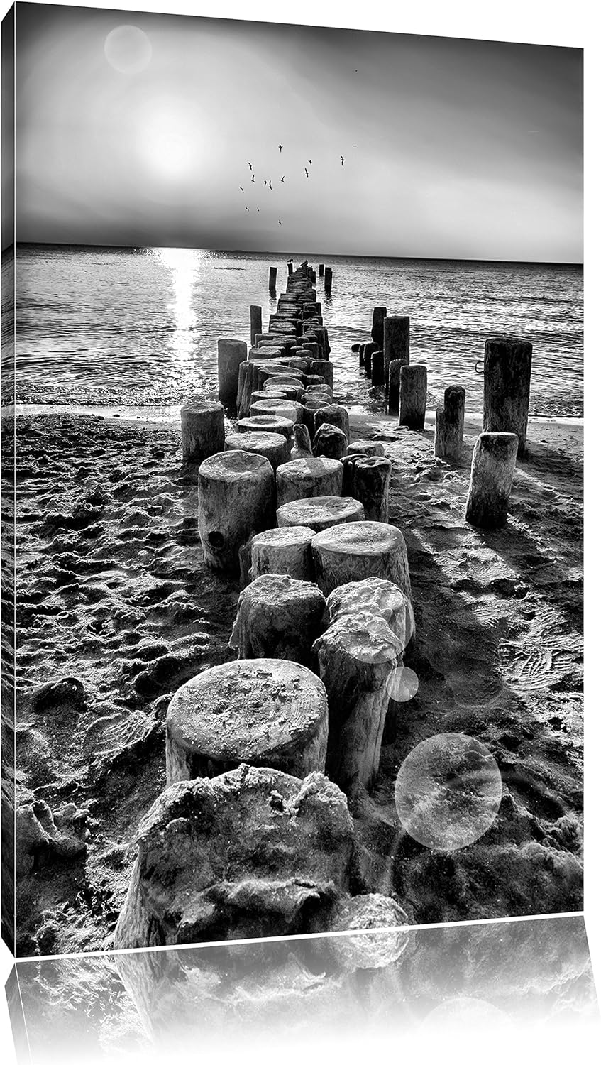 Pixxprint Baumstümpfe am Meer als Leinwandbild/Grösse: 100x70 cm/Wandbild/Kunstdruck/fertig bespannt