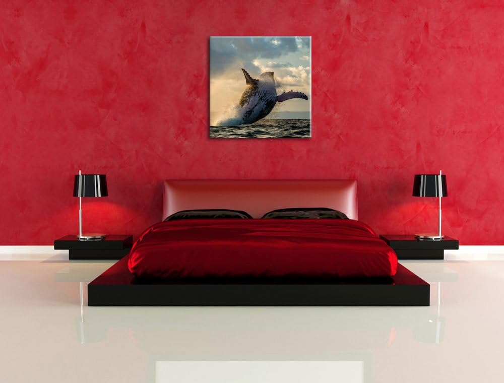 Buckelwale Kanada, Format: 70x70 auf Leinwand, XXL riesige Bilder fertig gerahmt mit Keilrahmen, Kun
