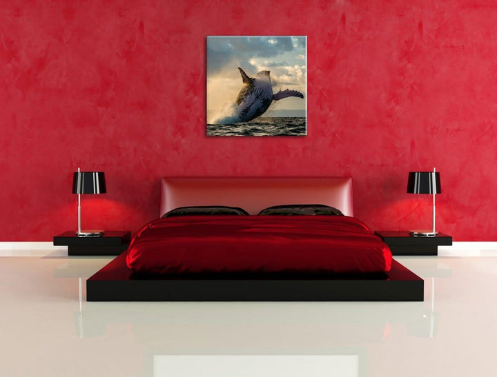 Buckelwale Kanada, Format: 70x70 auf Leinwand, XXL riesige Bilder fertig gerahmt mit Keilrahmen, Kun