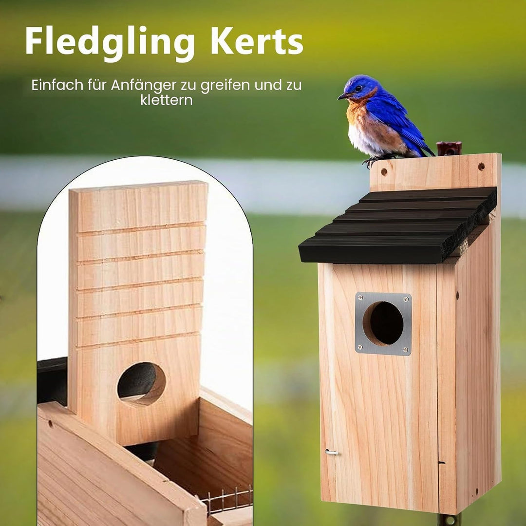 Nistkasten für Vögel für Draussen Wetterfest, Hölzernes Vogelhaus zum Aufhängen mit Raubvogel-Schutz