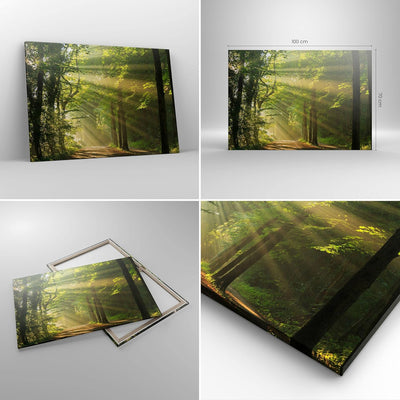 Bilder auf Leinwand 100x70cm Leinwandbild mit Rahmen Wald Baum Natur Gross Wanddeko Bild Schlafzimme