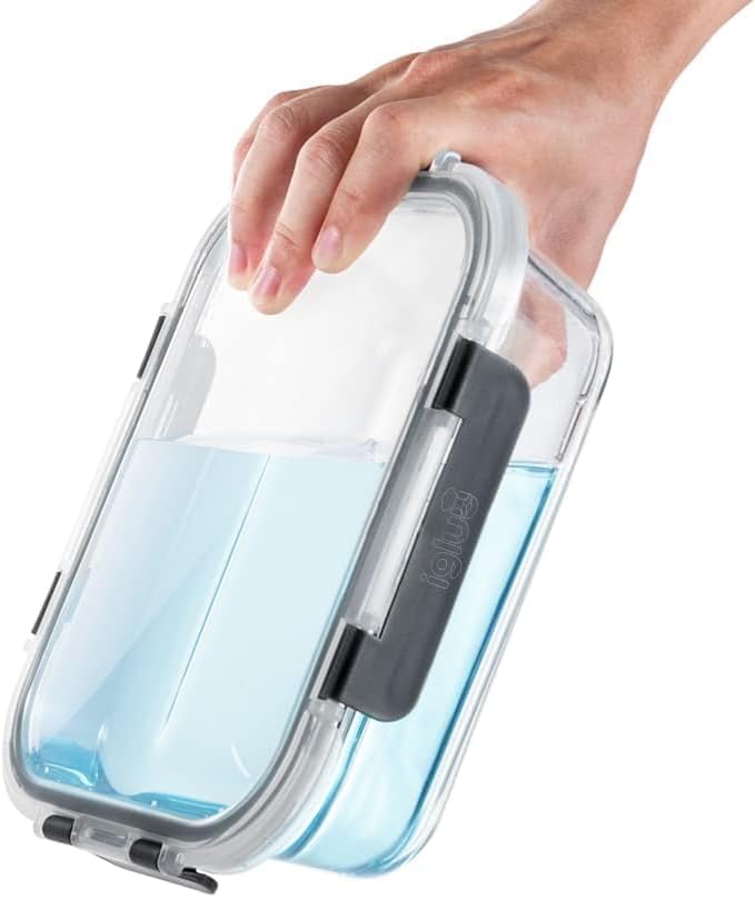 Igluu Meal Prep Glas Lebensmittel Frischhaltedosen 10 Stück, Lebensmittelbehälter Glas mit Schnappve