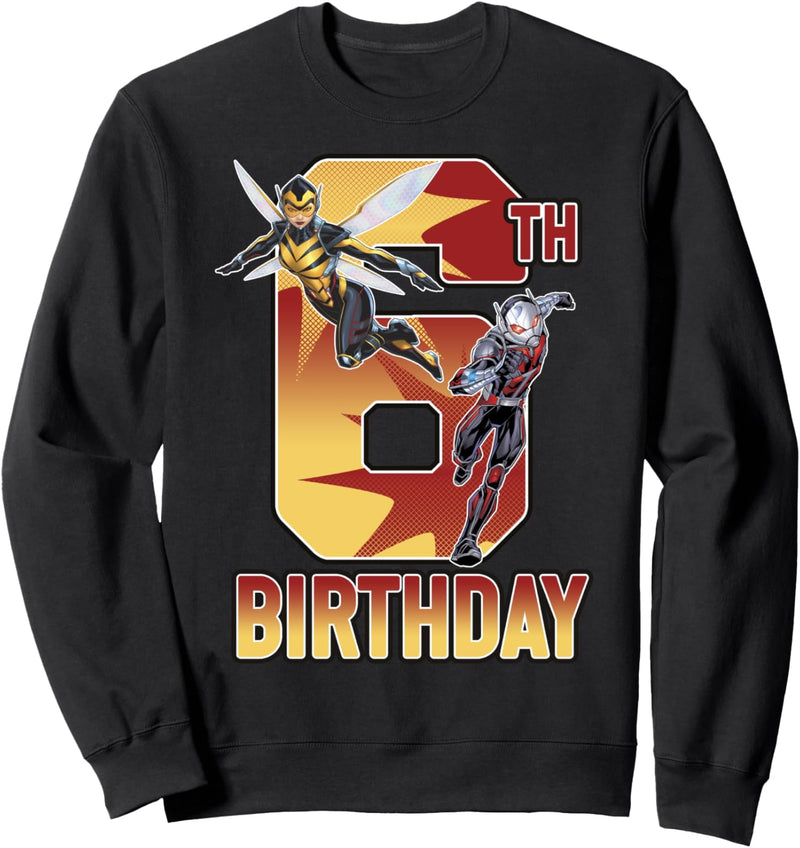 Marvel Ant-Man & Wasp 6th Birthday Sweatshirt