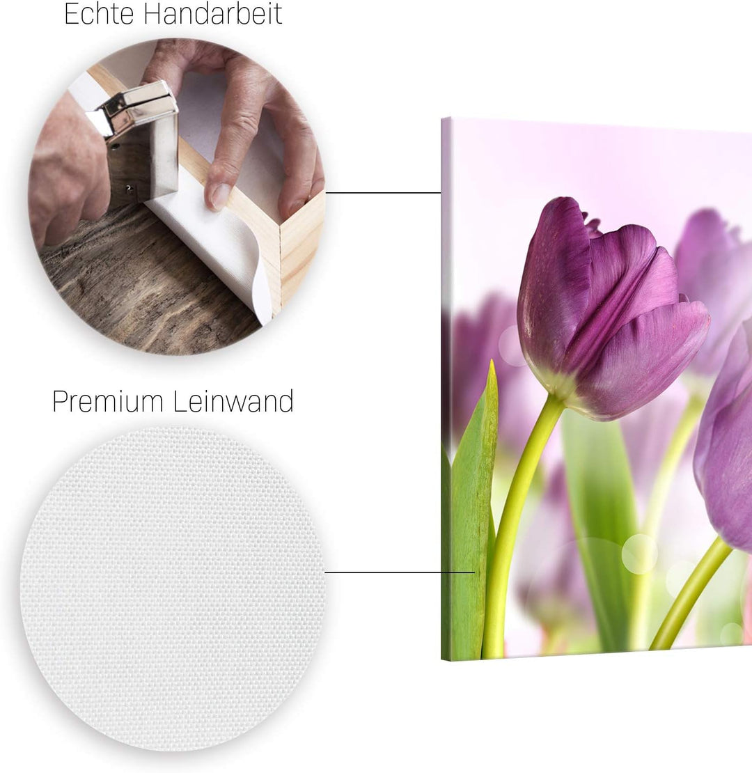 ge Bildet Bild auf Leinwand | Tulpe - Blumen Violett Natur E in 120x80 cm als Wandbild XXL | Wand-de