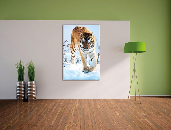 Tiger im Schnee, Format: 100x70 auf Leinwand, XXL riesige Bilder fertig gerahmt mit Keilrahmen, Kuns