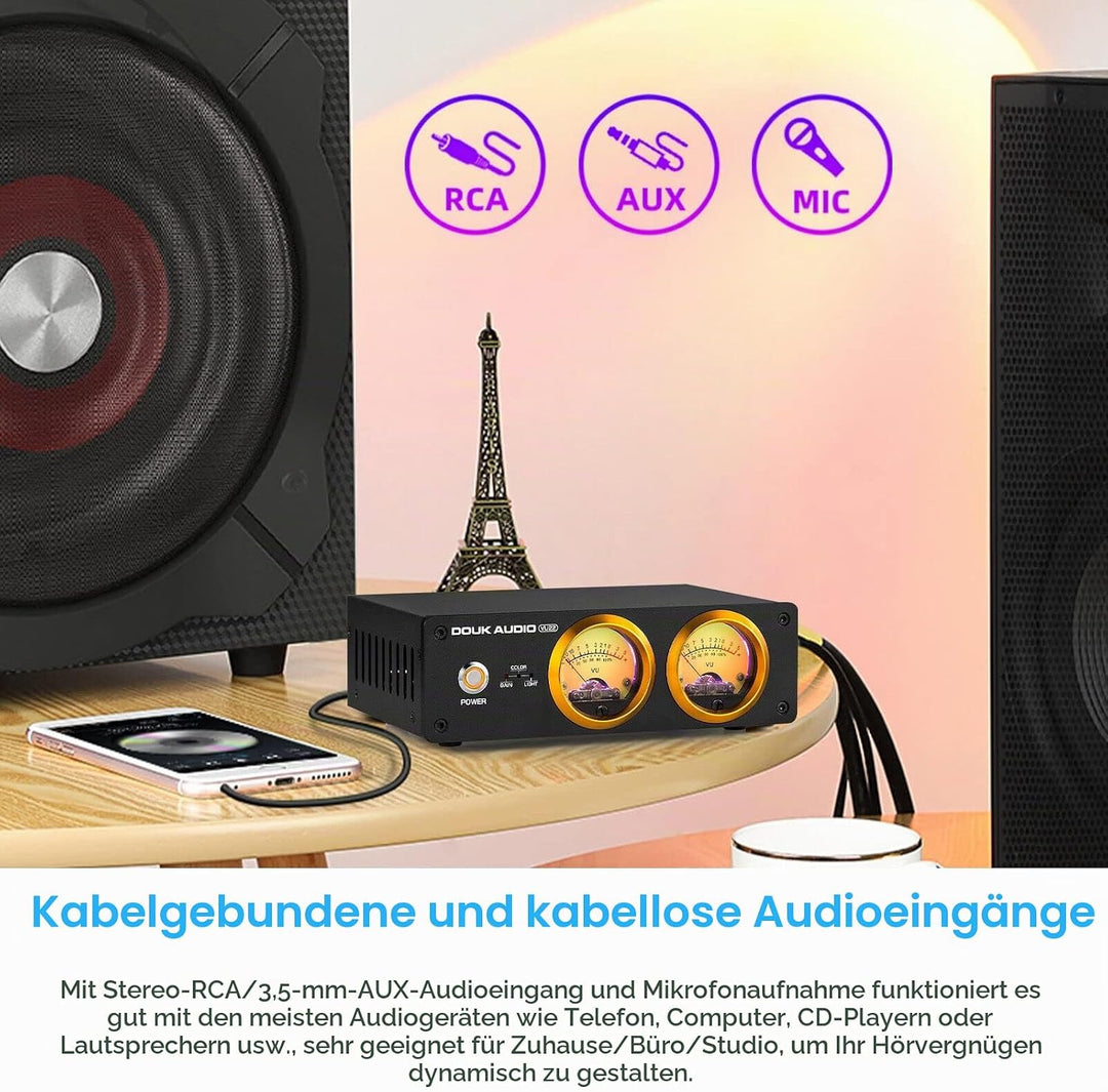 Douk Audio VU22 Duales analoges VU Meter Display DB Panel Musikspektrum MIC und LINE Schallpegelmess