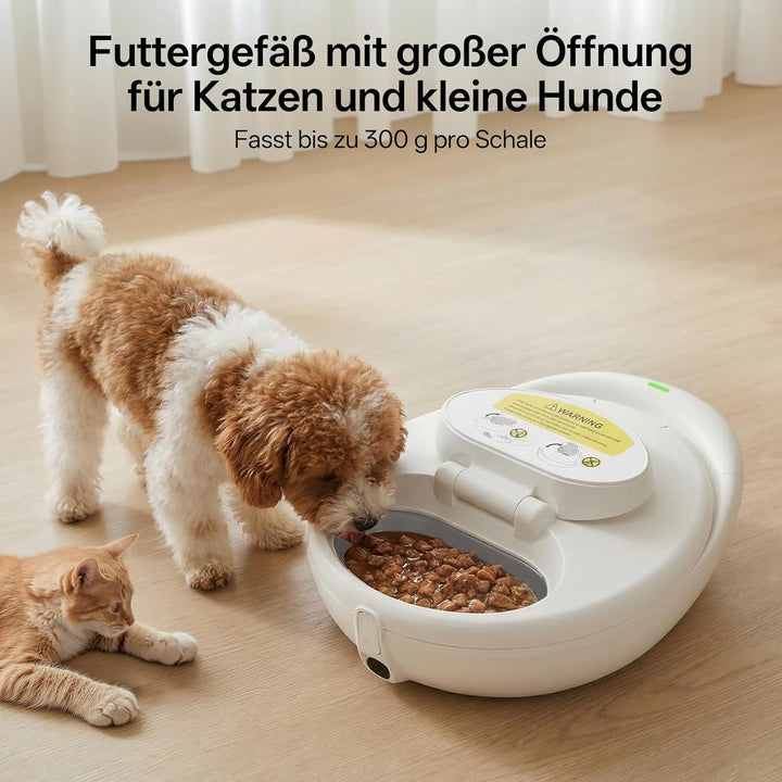 UBPET Automatischer Futterspender für Katzen & kleine Hunde, geeignet für Nass Trockenfutter, mit Ha