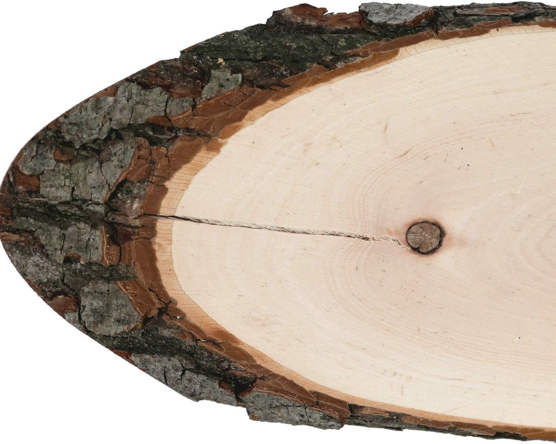 Bütic Holzscheibe Esche oval B-Ware - Rindenscheibe Baumscheibe geschliffen Holzbrett ca. 90cm lang,