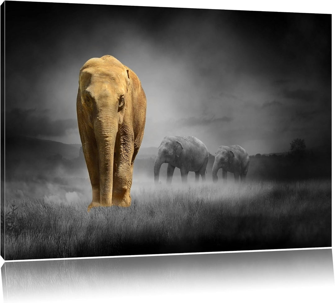 Elefanten in Steppe schwarz/weiss Format: 100x70 auf Leinwand, XXL riesige Bilder fertig gerahmt mit