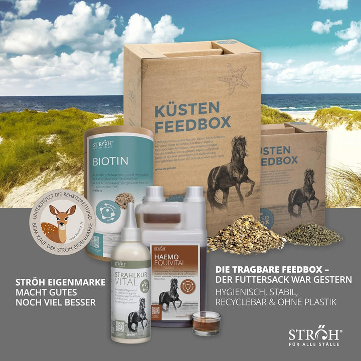 STRÖH Waldeinstreu - Naturbelassene Holzschnitzel - Stall Einstreu - 60L | Staubfrei &amp; geruchsneutra