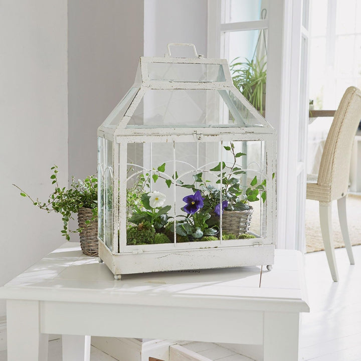 LOBERON® Laterne Couriar, individuell befüllbar, handgemachtes Shabby-Finish, Deko-Objekt mit Vintag