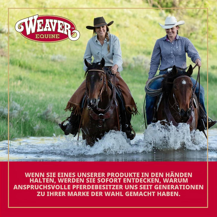 Weaver Leather Basic verstellbares Halfter Türkis Average Horse, Türkis Average Horse