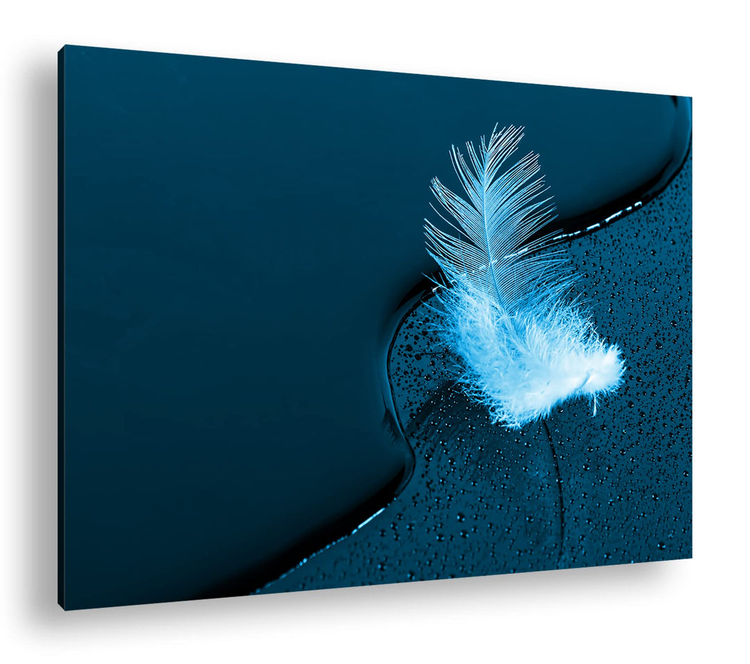 deyoli schöne Feder mit Wassertropfen Format 80x60 Effekt: Monocrome Blau als Leinwandbild, Motiv fe