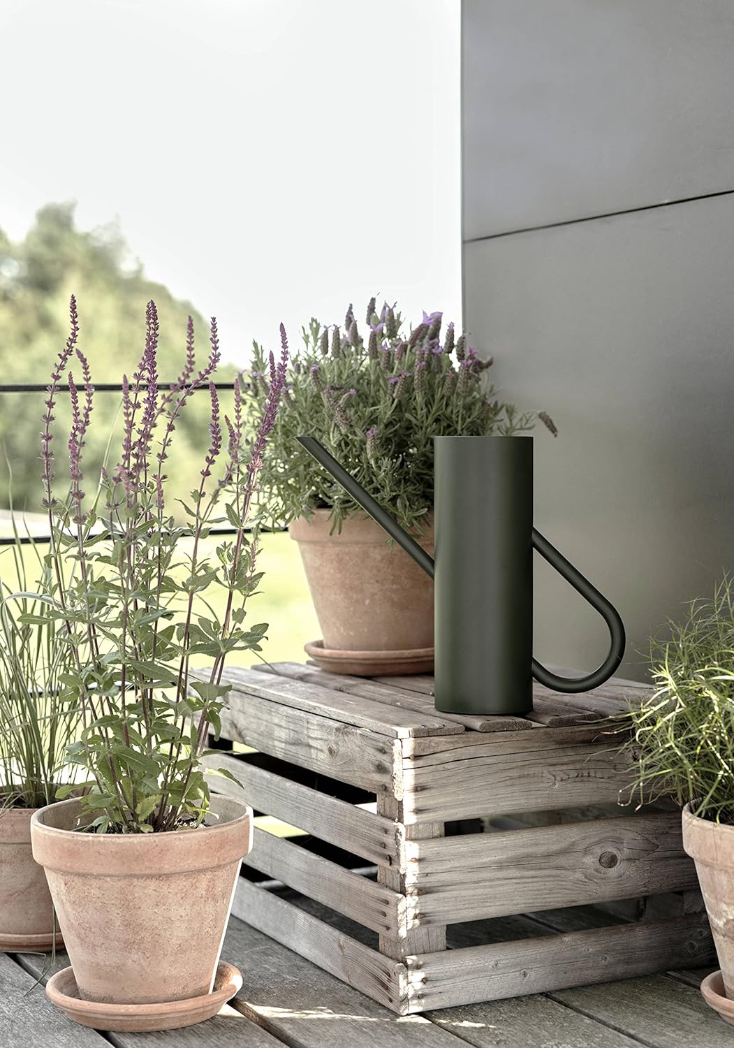 Stelton Bloom Blumengiesskanne 2L, für Zimmerpflanzen. Giesskanne mit langem Ausgiesser, pulverbesch