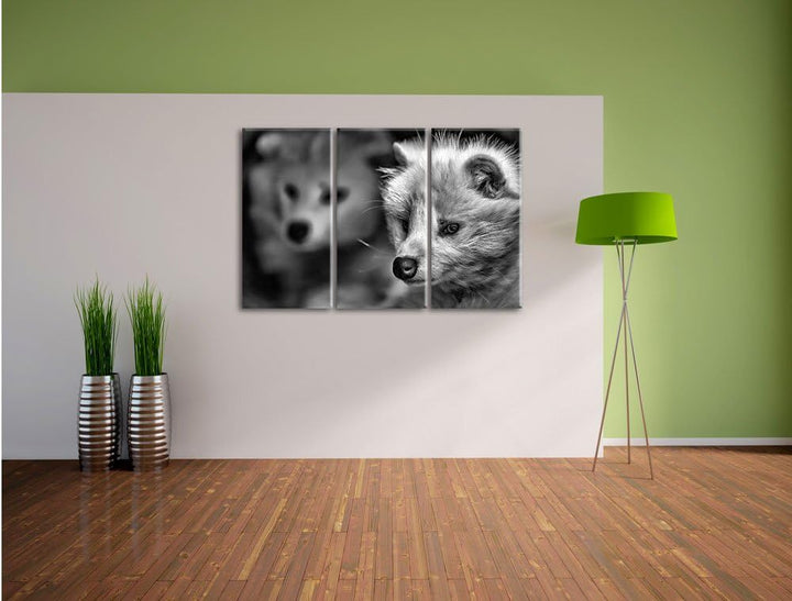 Pixxprint Polarfuchs in Höhle als Leinwandbild/Grösse: 3 Teilig (120x80) / Wandbild/Kunstdruck/ferti