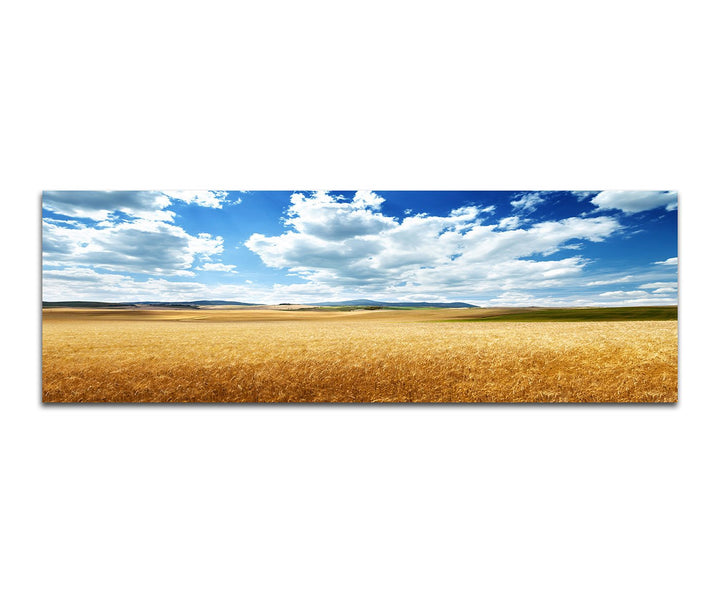 Paul Sinus Art Panoramabild auf Leinwand und Keilrahmen 150x50cm Italien Toskana Kornfeld Wolken Him