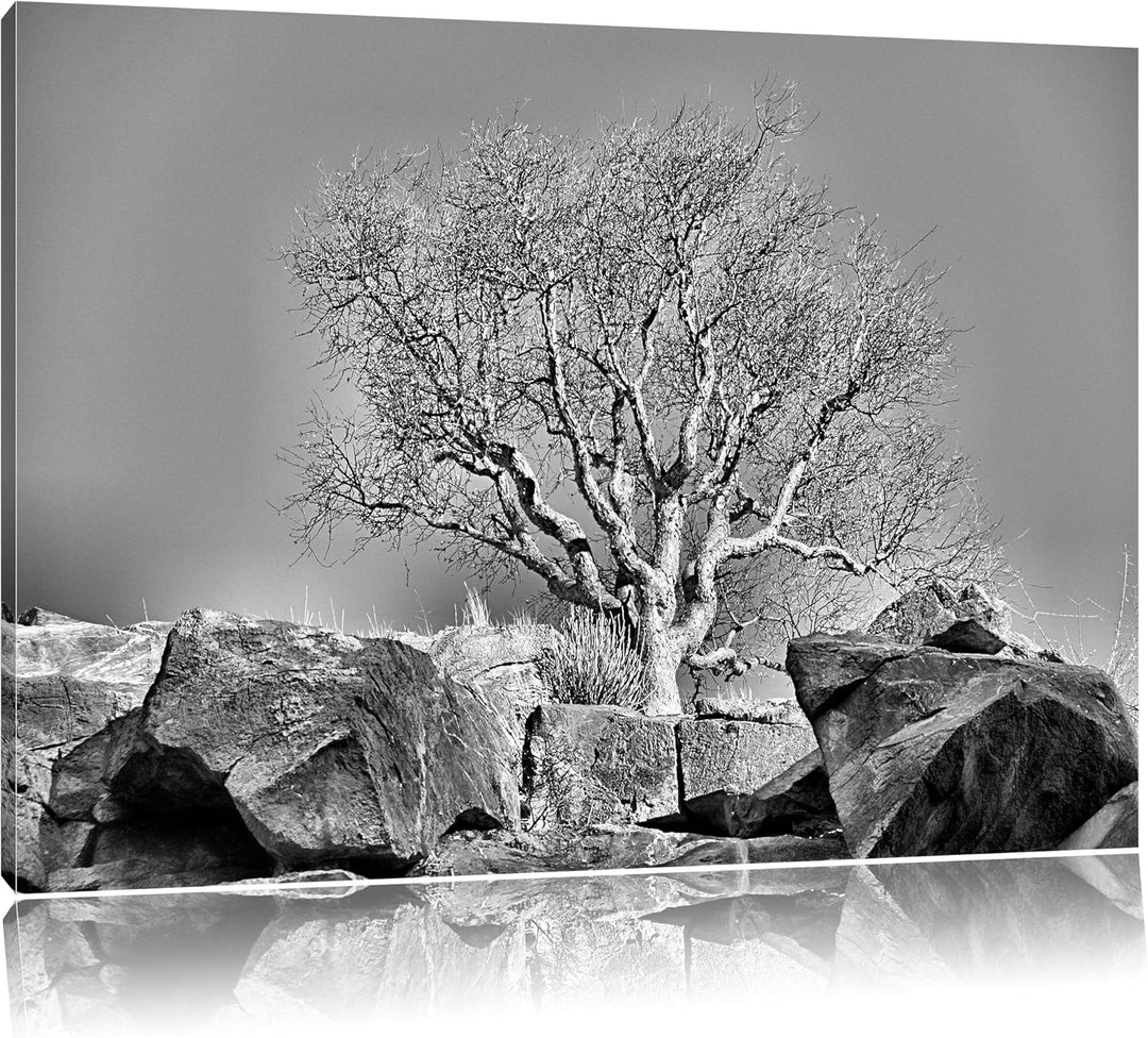 Pixxprint einsamer Baum im Gebirge / 100x70cm Leinwandbild bespannt auf Holzrahmen/Wandbild Kunstdru